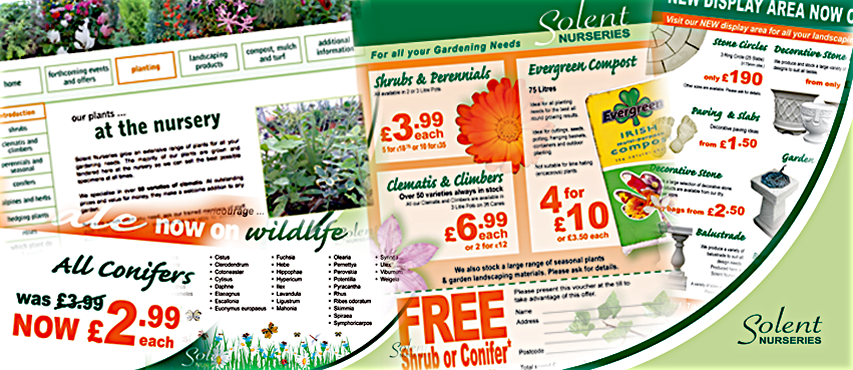 Web and brochure design for Solent Nurseries